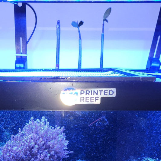 FragLocâ„¢ - Mangrove Seedling & Aquatic Plant Holder