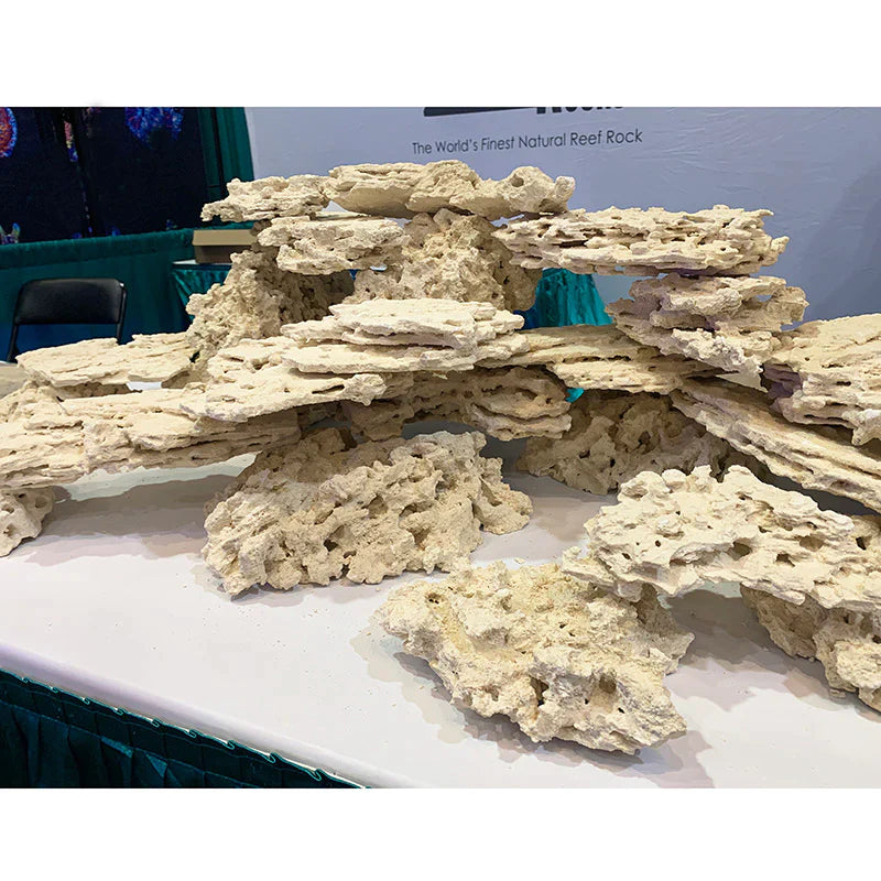 premium shelf rock at reefapalooza booth