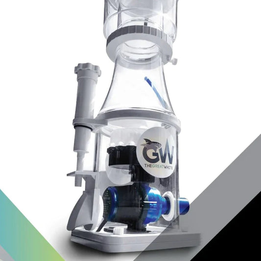 Great White DC Protein Skimmers