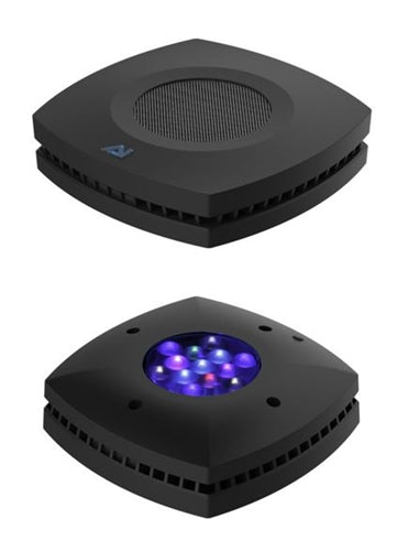 AI Prime HD Freshwater
