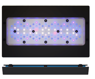 Radion XR30 Gen 6 Blue LED Light Fixture