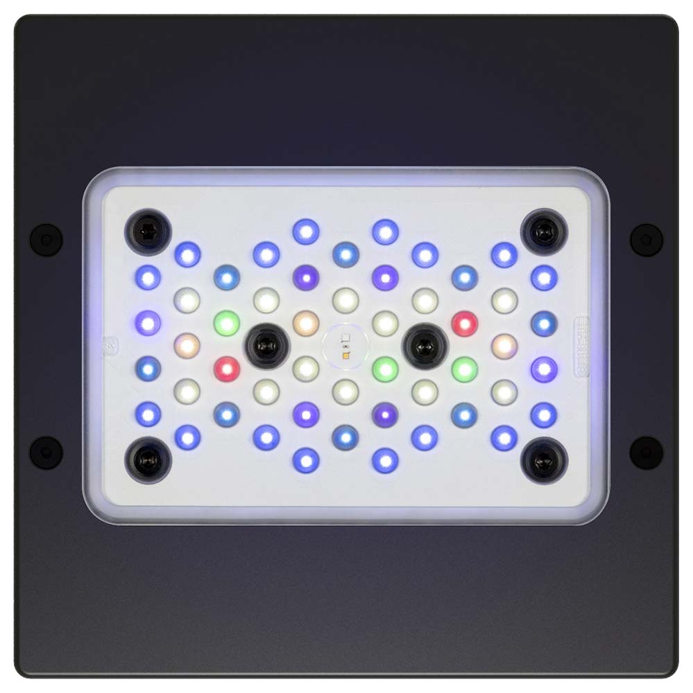 Radion XR15 G5 Pro