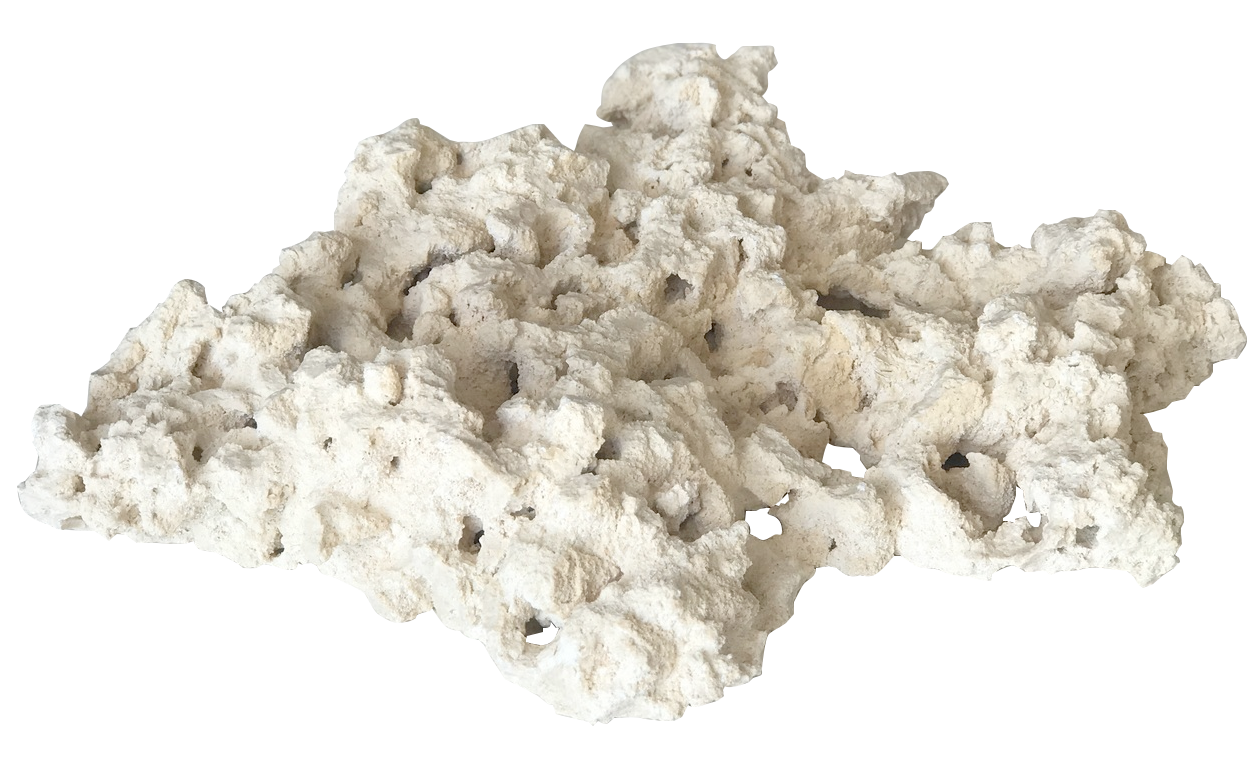 marco foundation rock top view