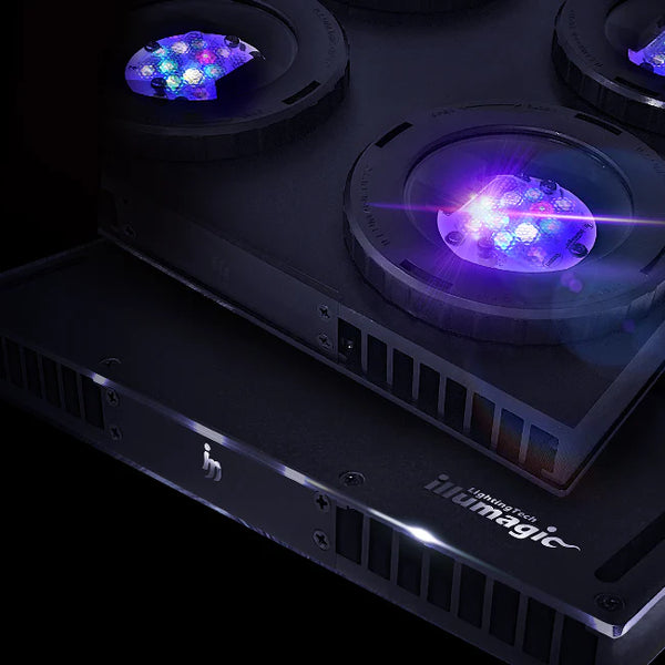 Illumagic X4 Reef Aquarium LED Light – The Aquarium Shop Westbury NY