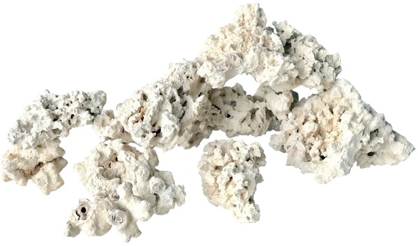 Amazon.com : Coarse Aragonite 10lb Sand for Reef, Saltwater