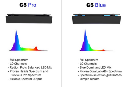 Radion Gen5 Pro vs Blue Comparison