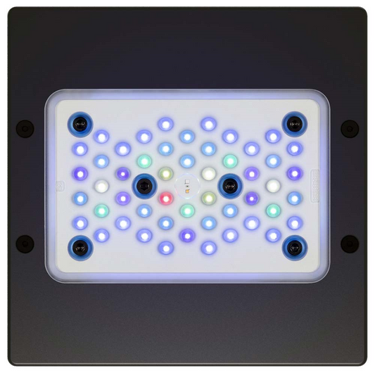 Radions XR15 Blue Bottom Layout