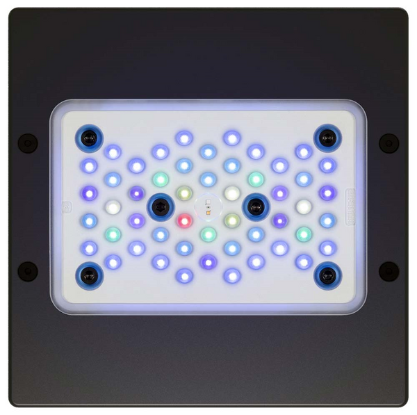 untitledfsdfdsffds_grande.png?